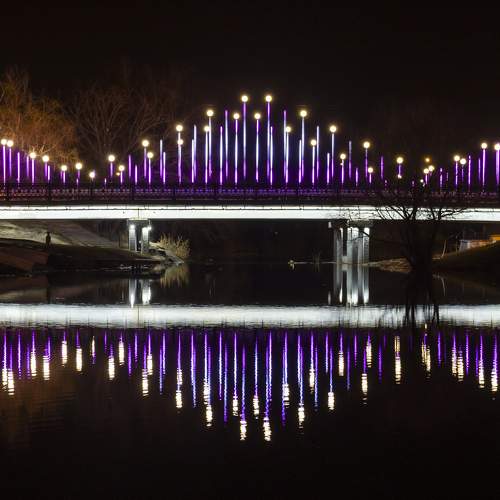 Photo #7793013