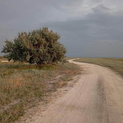 Вне времени
