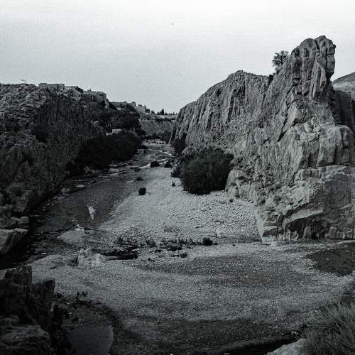 Photo #7793520