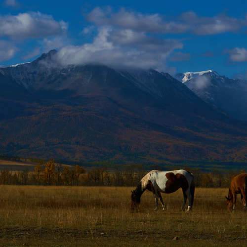 Photo #7793540