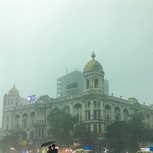 Love birds & monsoon