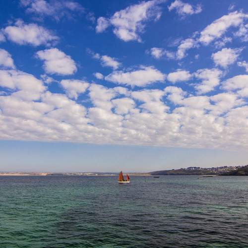 Photo #7793582