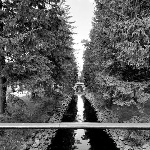 Photo #7793962