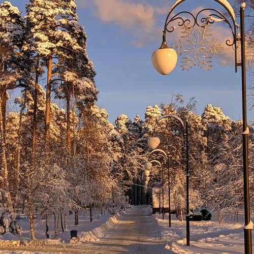 Photo #7794406