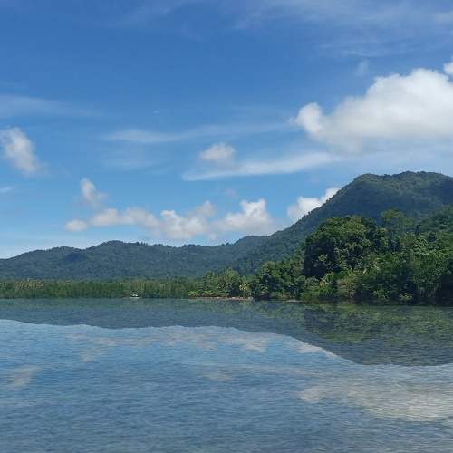 Photo #7794809