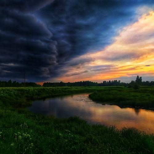 Photo #7795220