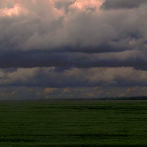 Photo #7795471