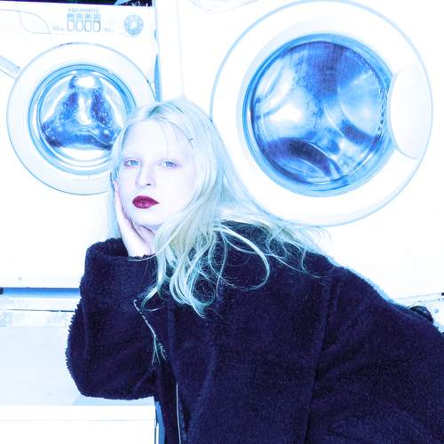 Photo #7795642