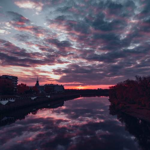 Photo #7795787