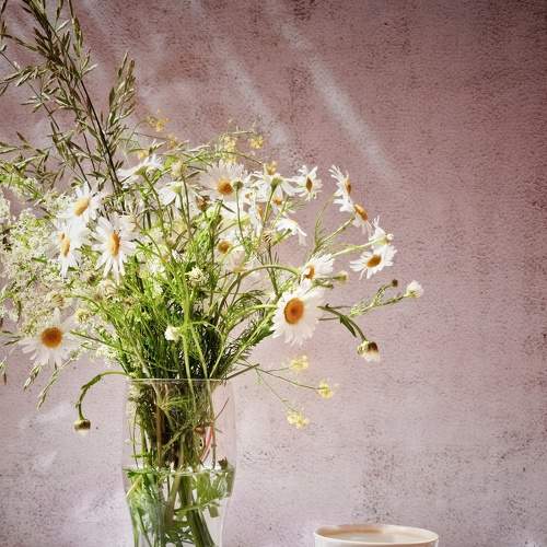 Photo #7796181