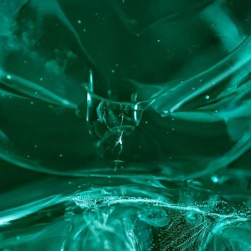 Photo #7796240