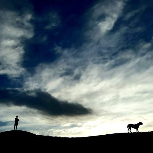 Photo #7796263
