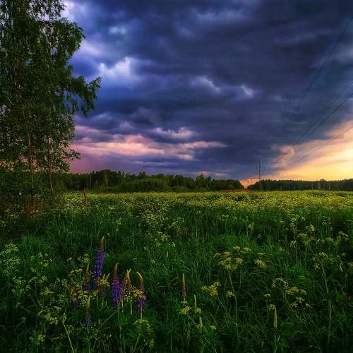 Photo #7796276