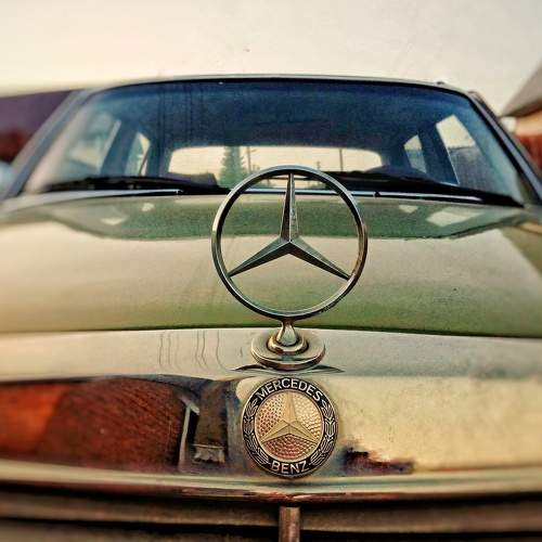 Photo #7797090