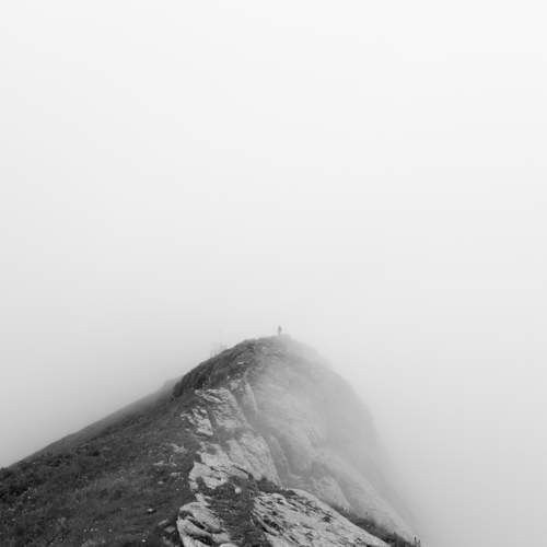 Photo #7797346