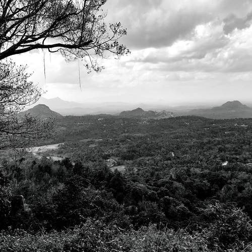 Lonely Mountains