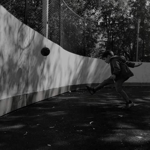 Photo #7797765
