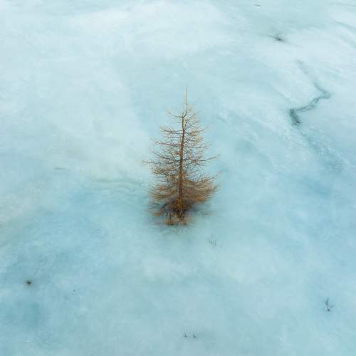 Photo #7797777
