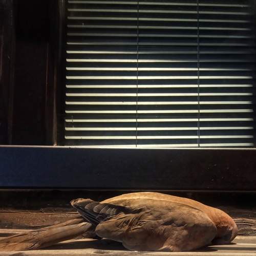 Photo #7798079