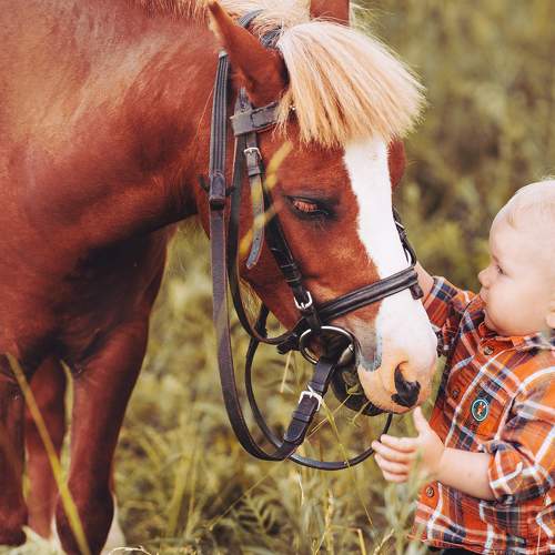 Photo #7798195