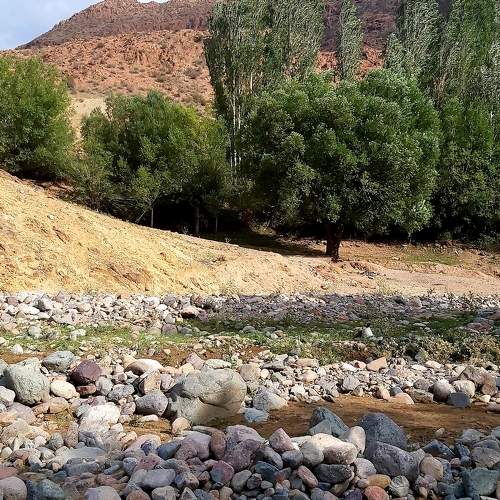 Photo #7798289