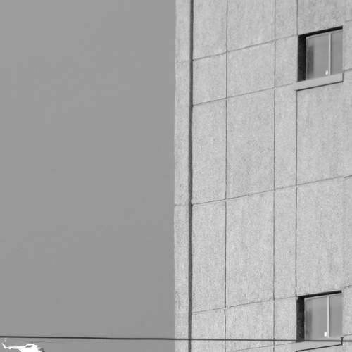 Photo #7798619