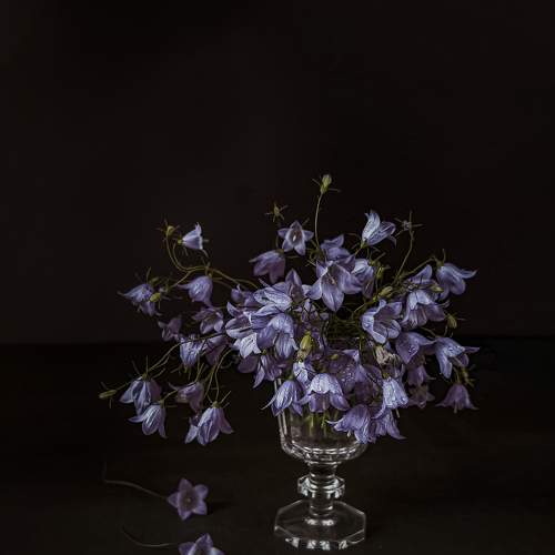 Photo #7799068