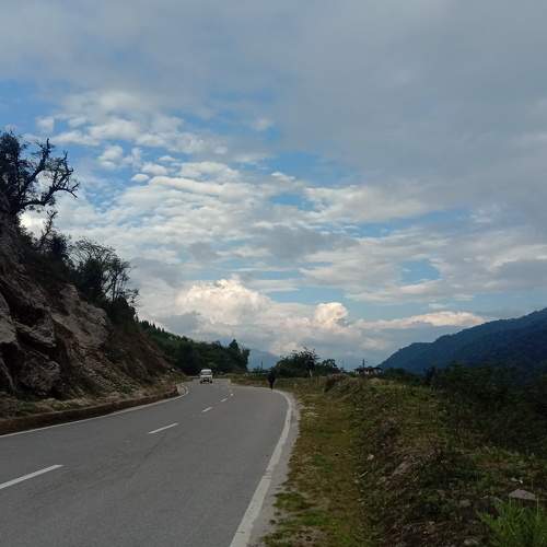 Photo #7799120