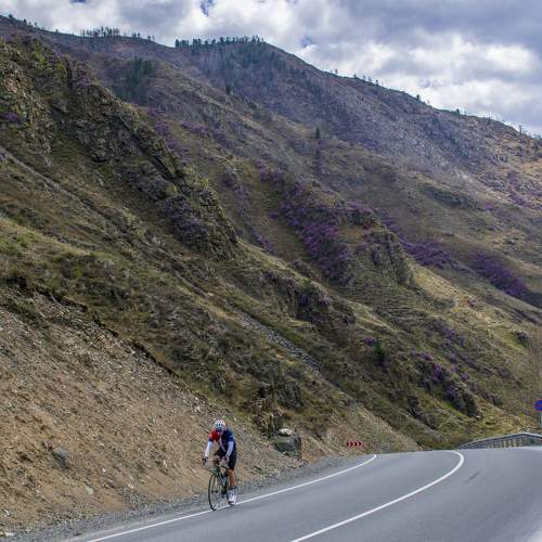 Photo #7799201
