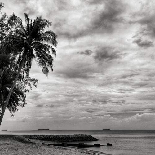 Photo #7799276