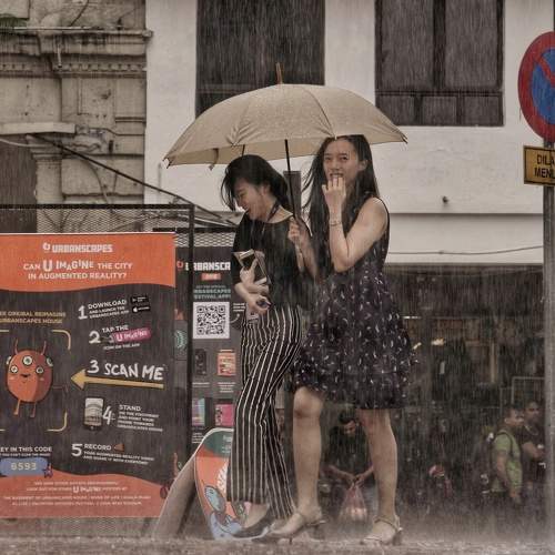 Photo #7799390