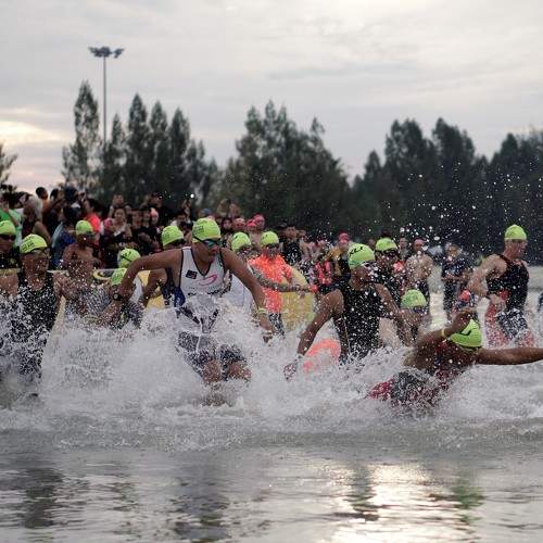 Photo #7799508