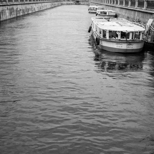 Photo #7799661