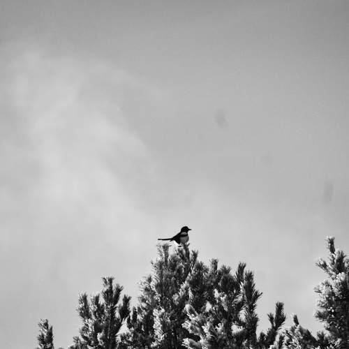 Photo #7799711