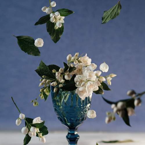 Photo #7799965