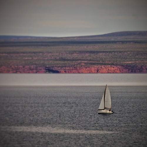 Photo #7800104