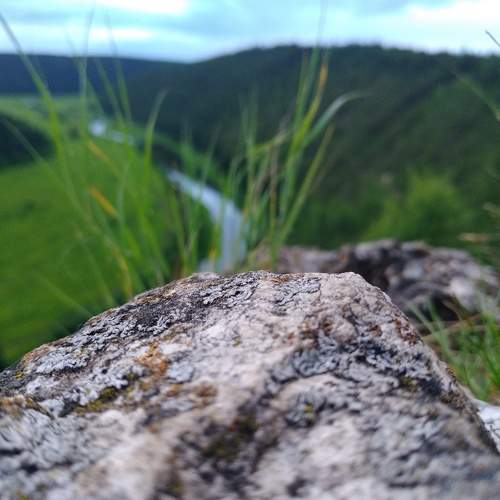 Photo #7800522