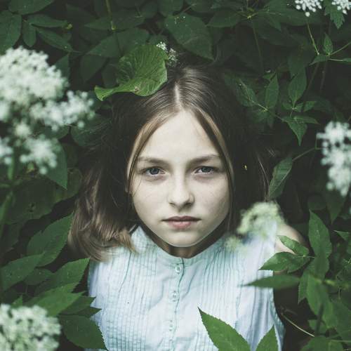 GreenGrass