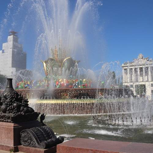 Photo #7800908
