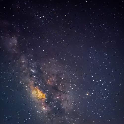 Photo #7801441