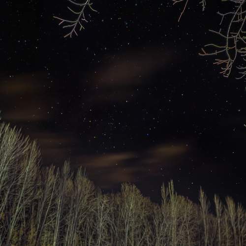 Photo #7801450