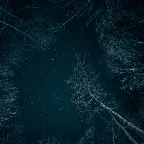 Photo #7801459