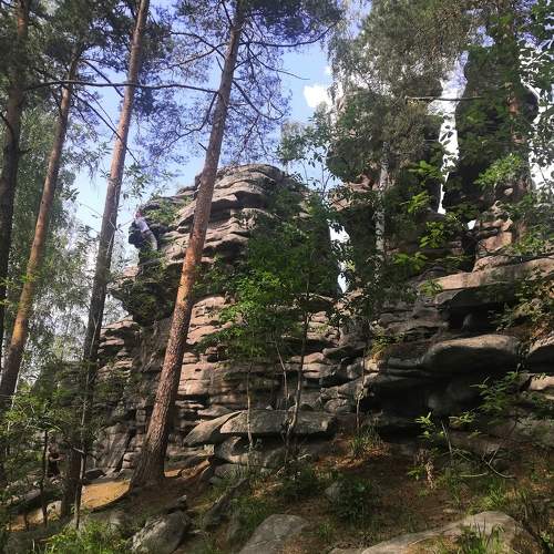 Photo #7801632