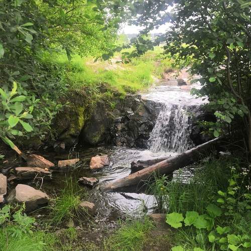 Photo #7801643