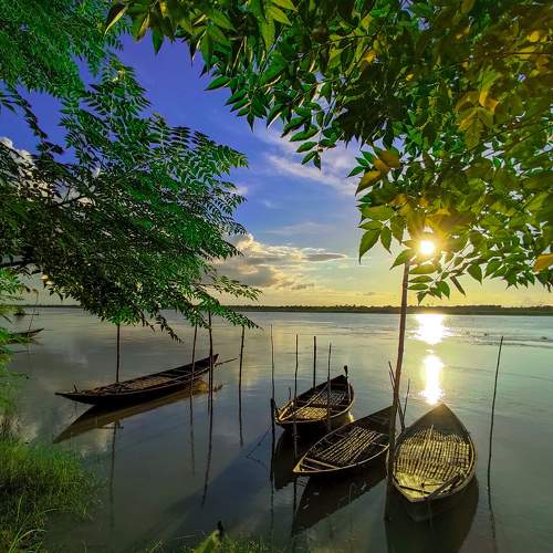 Beyond Trees.....