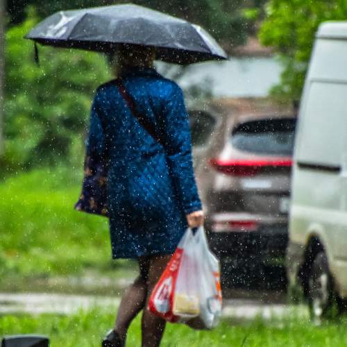 Photo #7801954