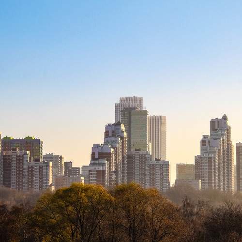 Photo #7802011