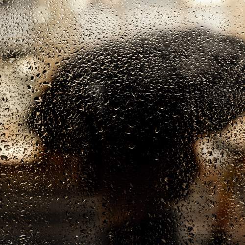 Photo #7802682