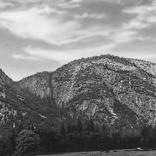 Photo #7802990
