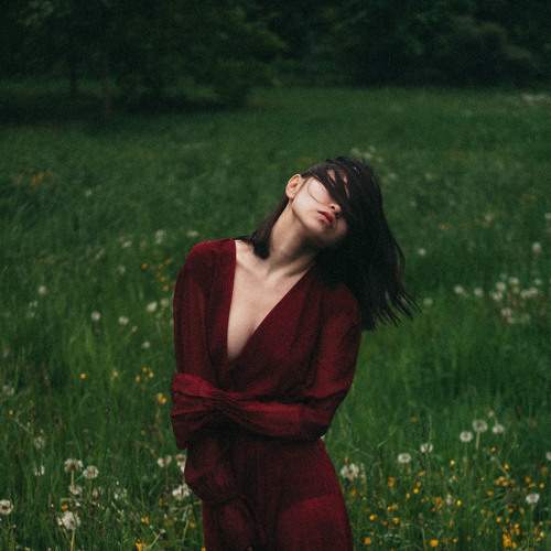 Photo #7803022